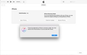 how to restore iPhone X in iTunes