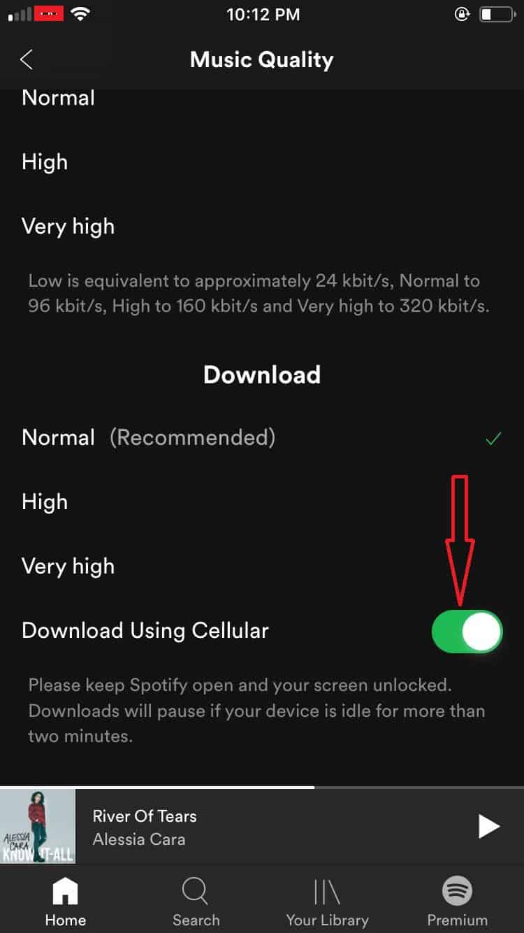 optimize iphone spotify