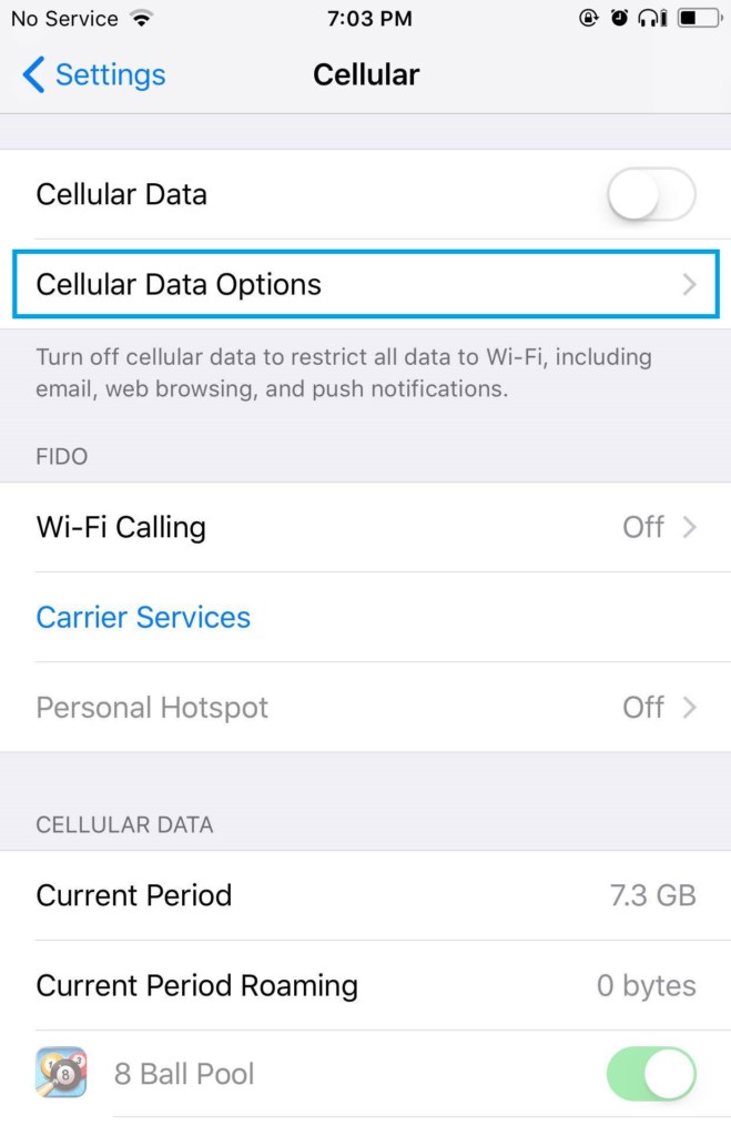 iphone cellulardataoptions
