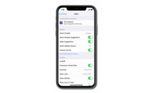 apple iphone xs slow internet connection slow browsing
