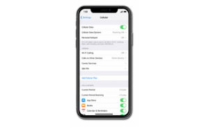 iphone xs mobile data not working