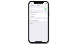 Apple iPhone XS Max has no WiFi Internet access after iOS 13 update