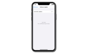 iphone stuck on resume download ios 13