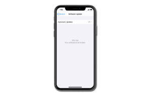 iphone verifying update ios 13