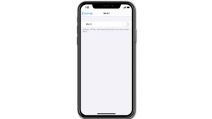 Fix an iPhone XS iOS 13 with no Internet while connected to WiFi network
