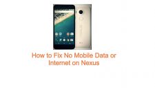 No Mobile Data or Internet on Nexus
