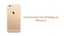 Voice-to-text Not Working on iPhone 6