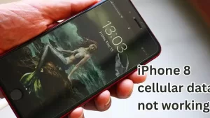 13 Ways to Fix iPhone 8 Cellular Data Not Working (Reset, Update Carrier Settings + Tips)