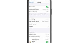 How to fix cellular data that is not working after iOS 13.2 on iPhone X