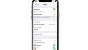 How to fix iPhone XS cellular data not working after iOS 13.3