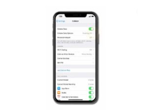 fix cellular or mobile data not working on iphone xs