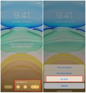 iphone 11 live wallpaper 3 - TheCellGuide