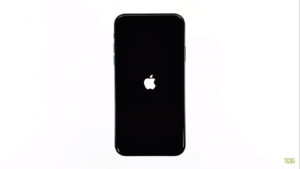 fix sudden blank screen, black screen of death on Apple iPhone x