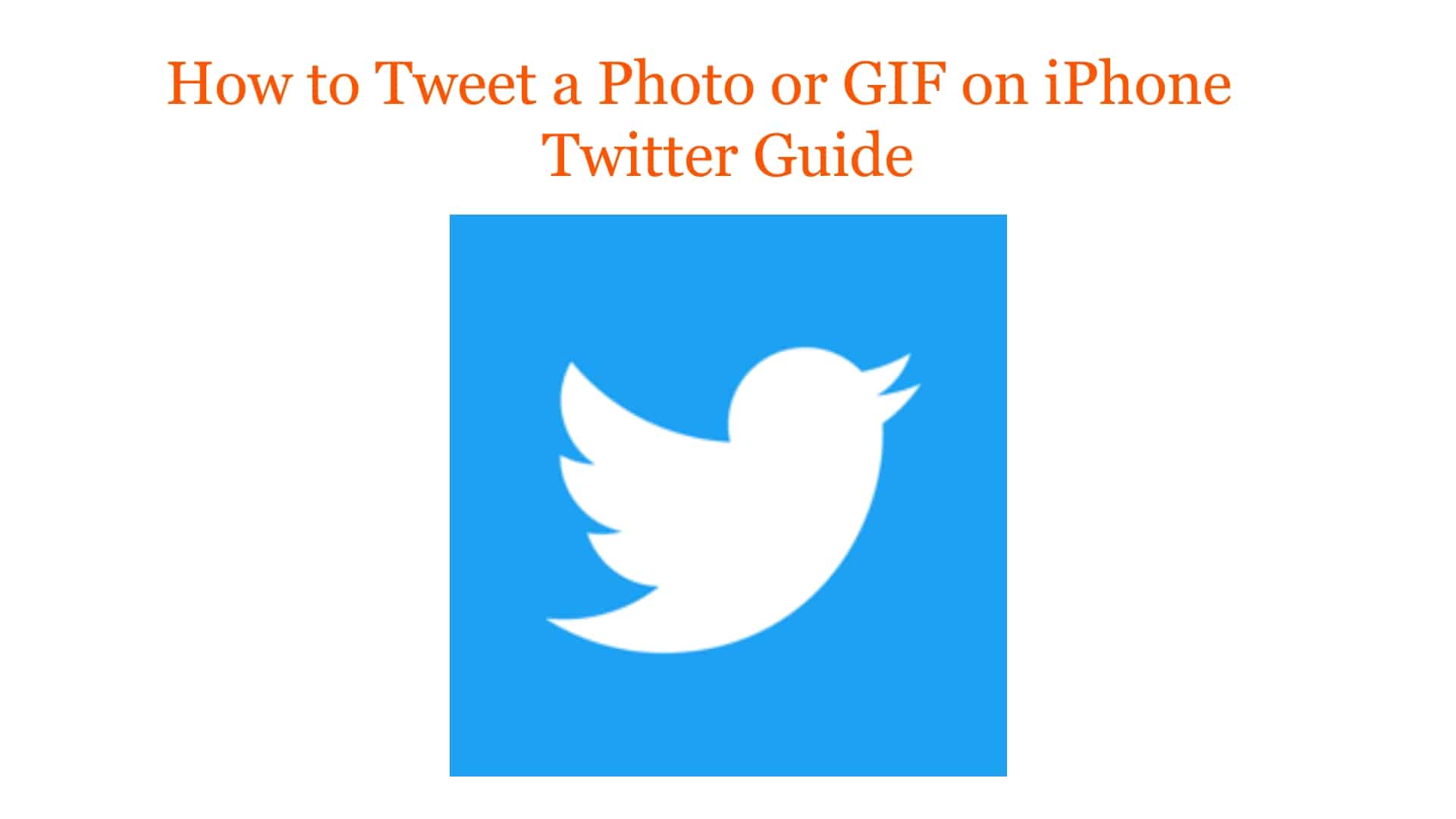 How-to-Tweet-a-Photo-or-GIF-on-iPhone - TheCellGuide