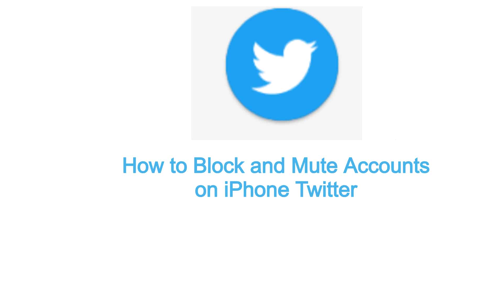 featured image block and mute accounts on twitter - TheCellGuide