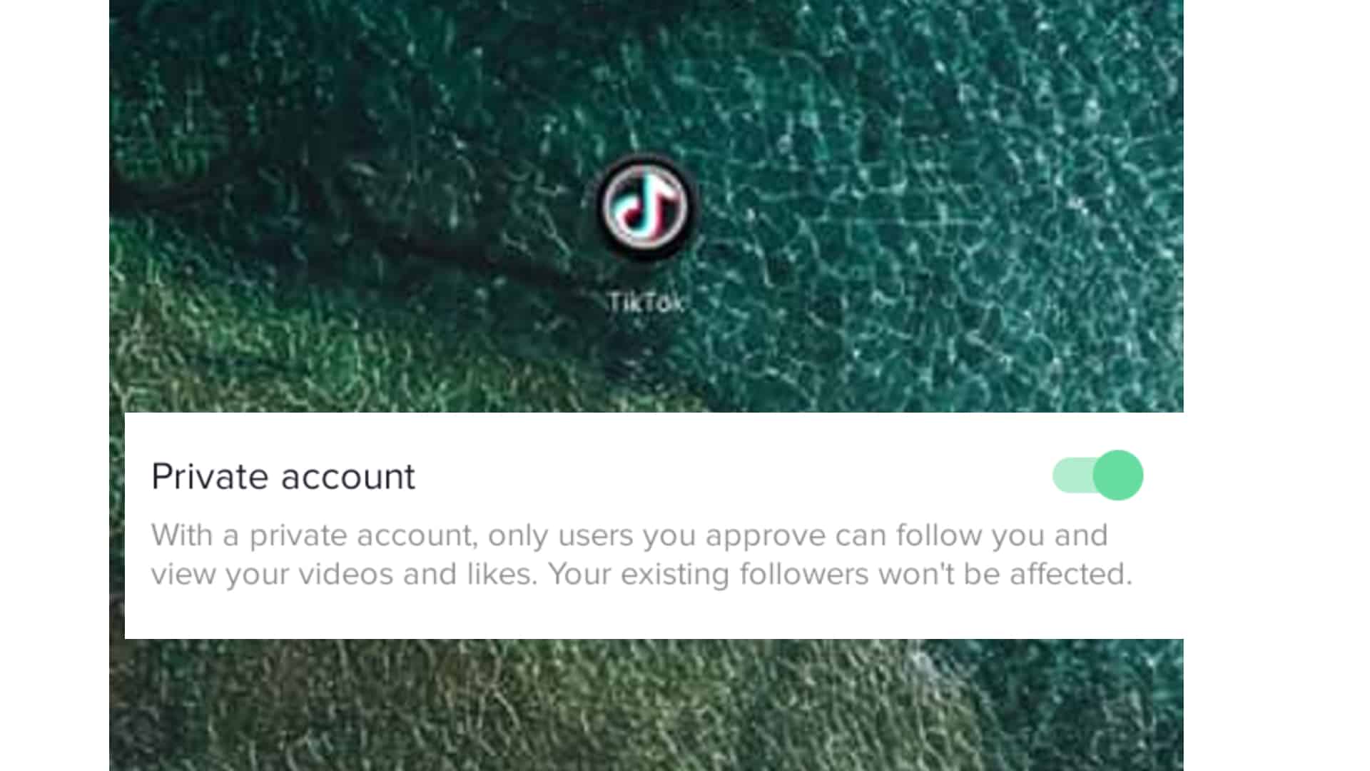 How to Make your iPhone TikTok Account Private