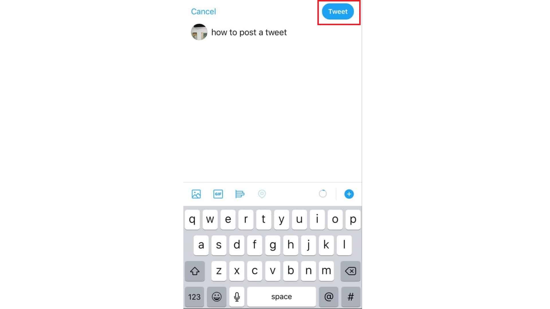 post-and-delete-a-tweet-on-iPhone-twitter-guide - TheCellGuide