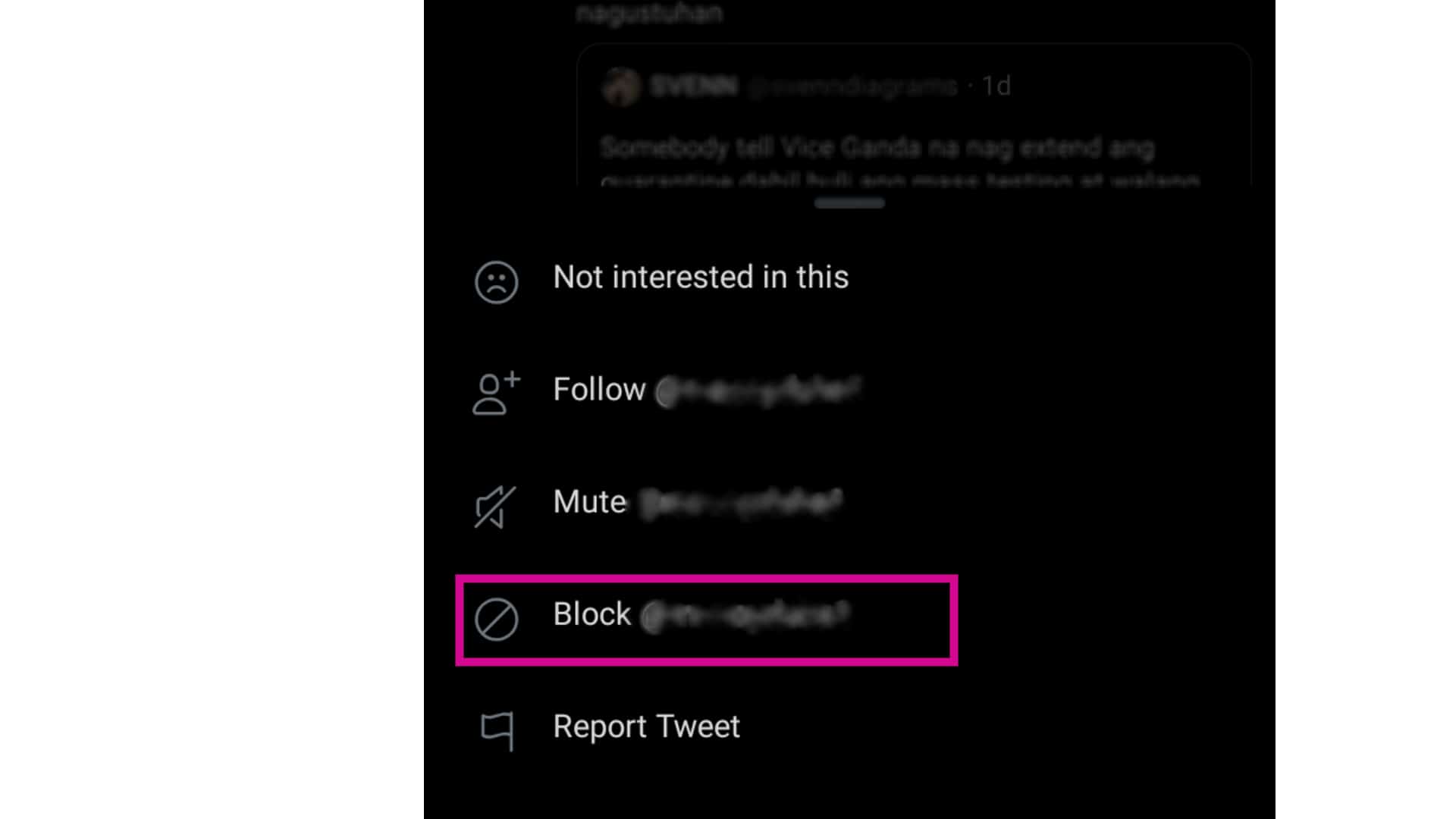 How to Block and Mute Accounts on iPhone Twitter