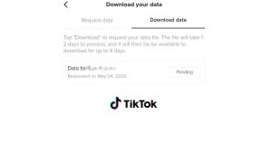 How to Download Your TikTok Data on iPhone