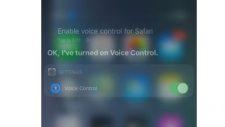 enable voice control for iphone safari