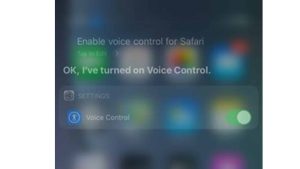 How to Enable Voice Control for iPhone Safari