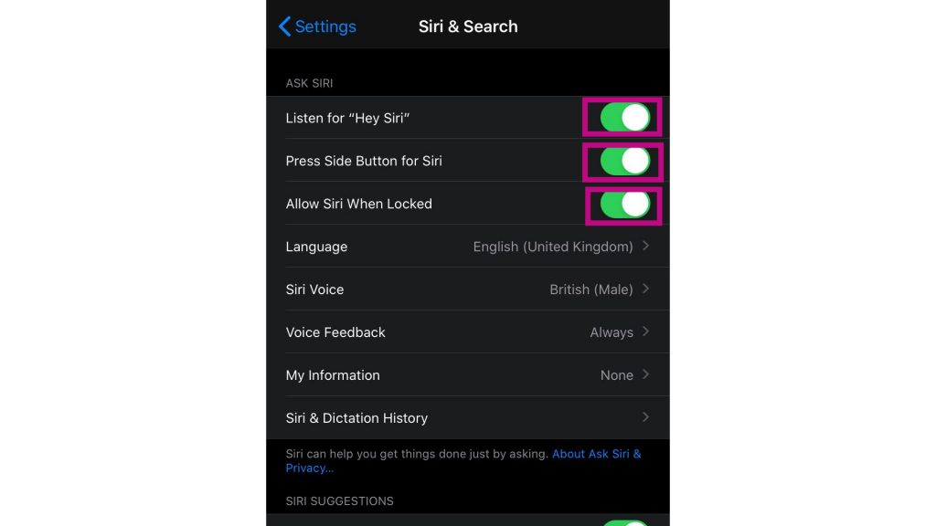 safari voice control enabled TheCellGuide