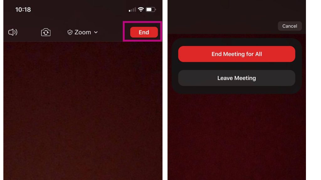 zoom end call - TheCellGuide