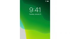 iphone 12 flickering screen and green tint display