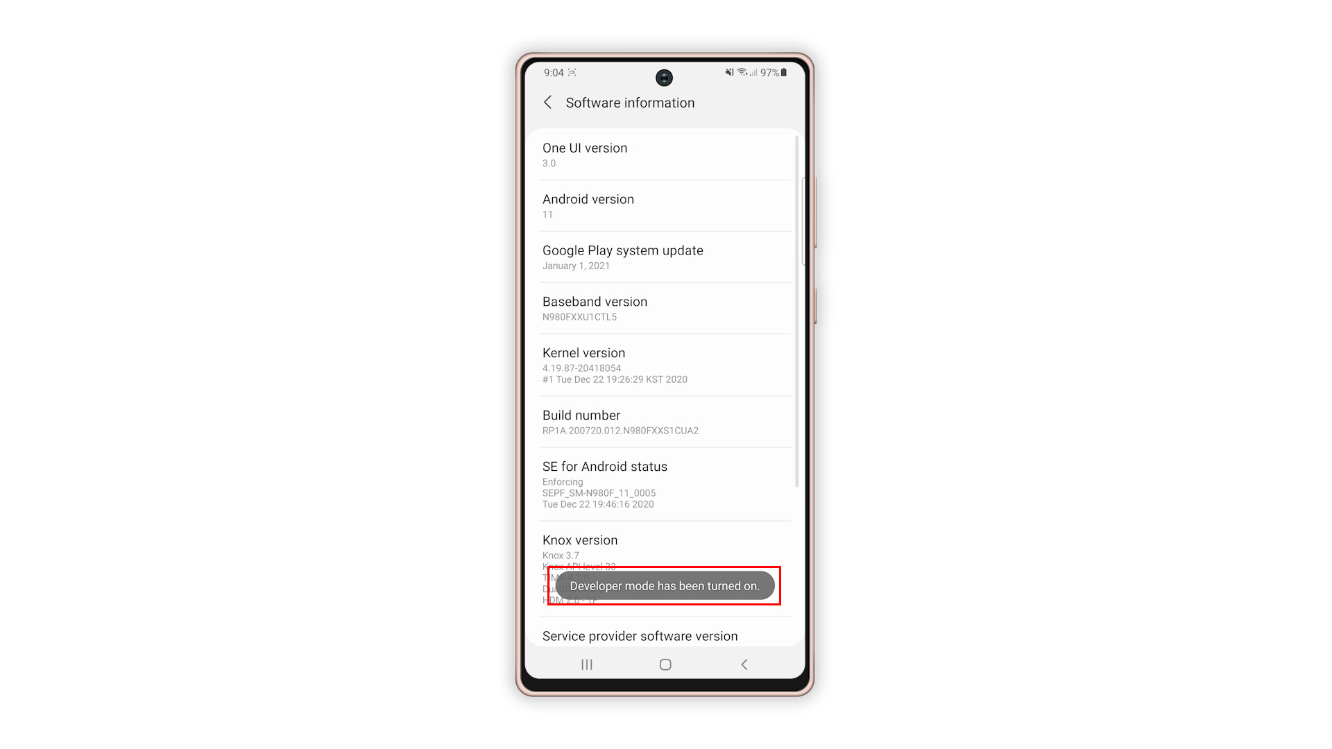 enable developer options galaxy note 20 5