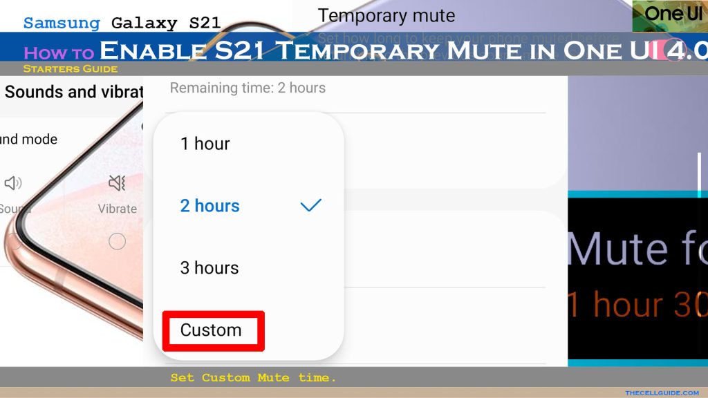 enable temporary mute galaxys21 oneui4 custom