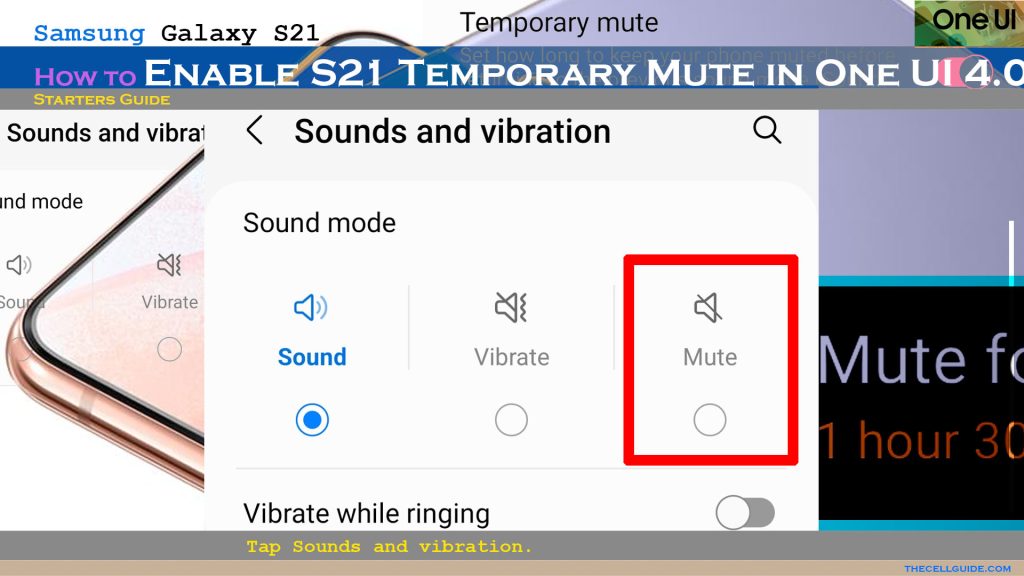 enable temporary mute galaxys21 oneui4 mute