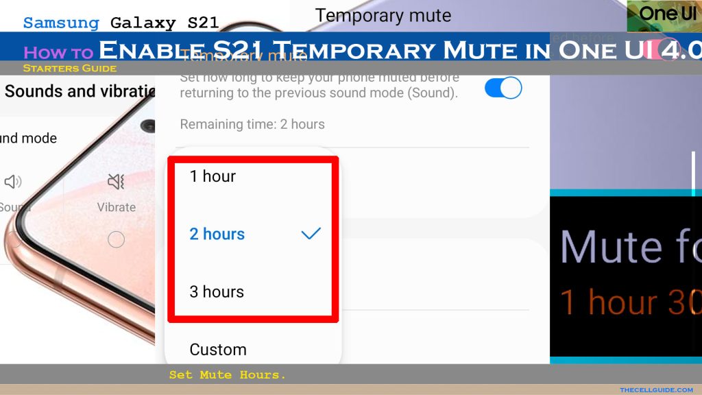 enable temporary mute galaxys21 oneui4 mutehours