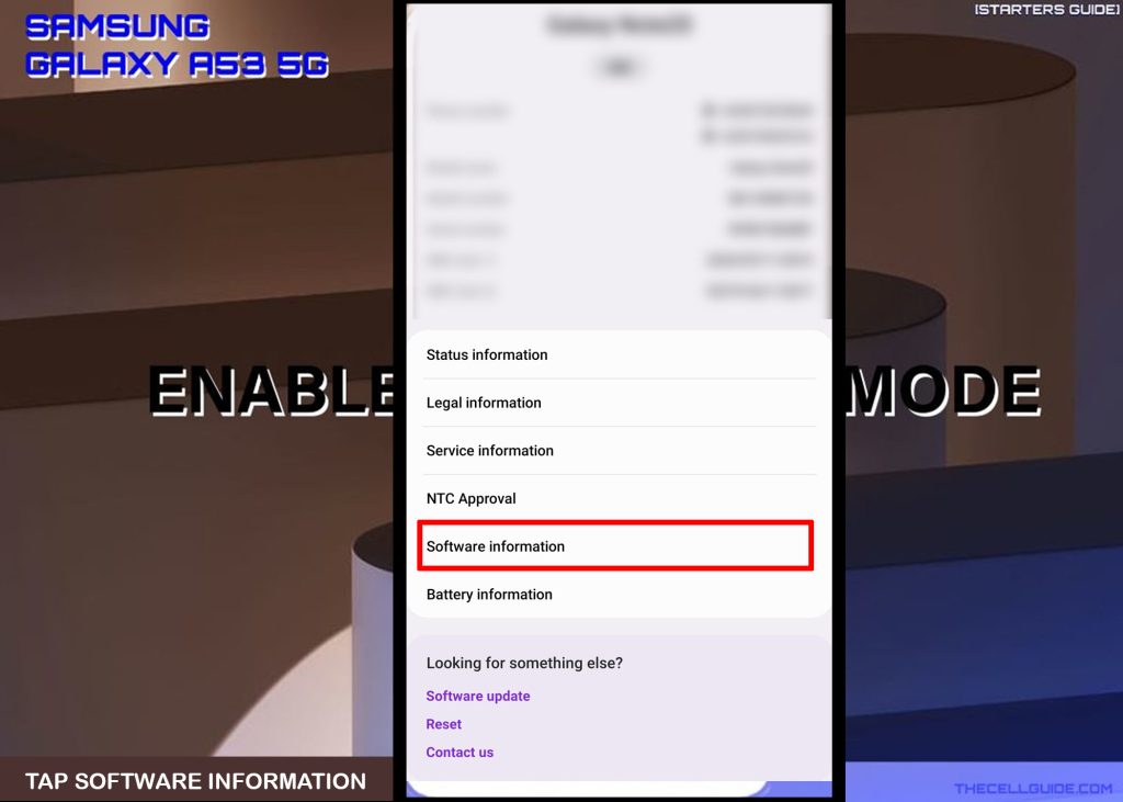 enable developer options galaxy a53 softwareinfo