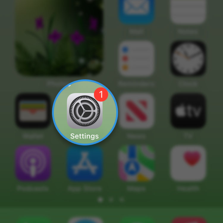 show battery percentage iphone se 3 1