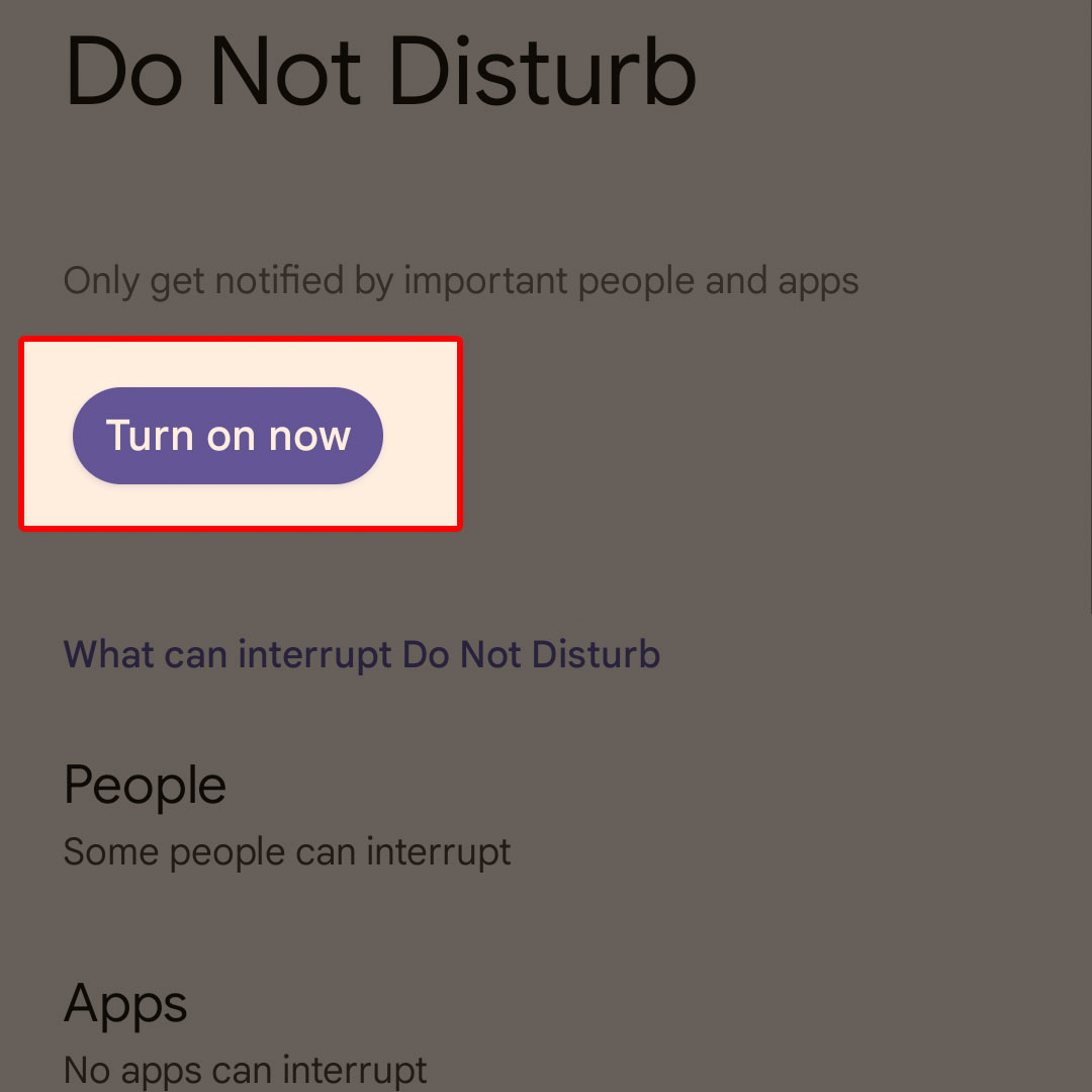 google pixel7 do not disturb 4