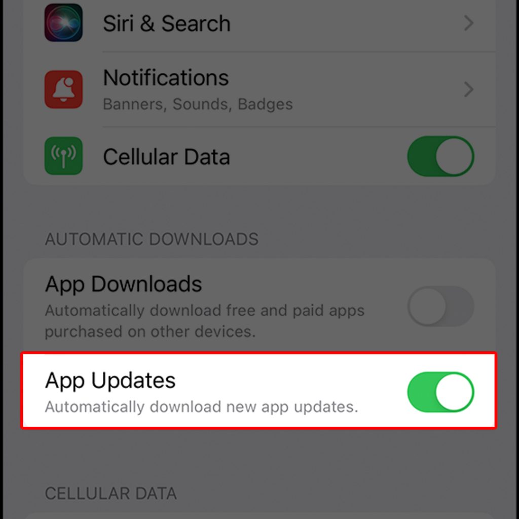 check app updates iphone auto update