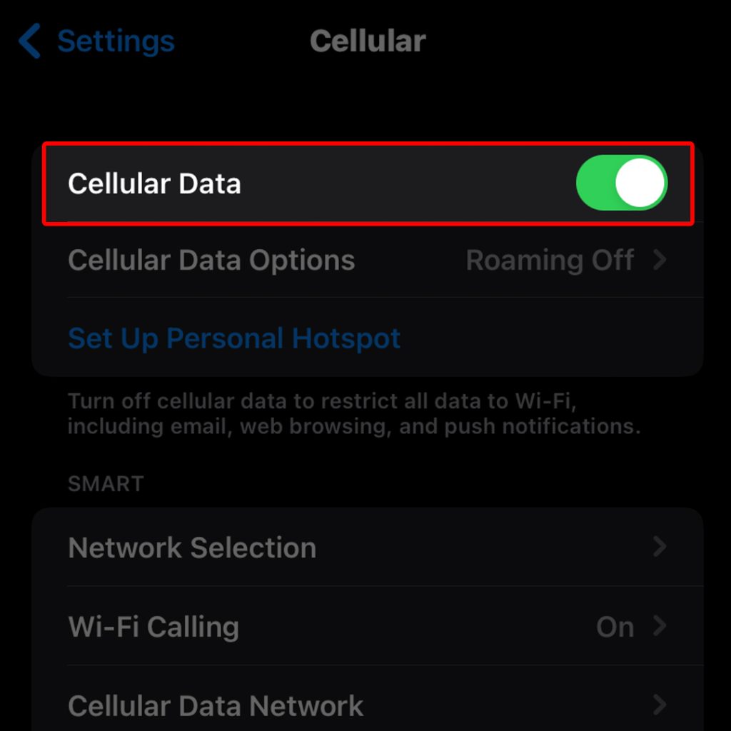 fix iphone mms wont send enable cellular data