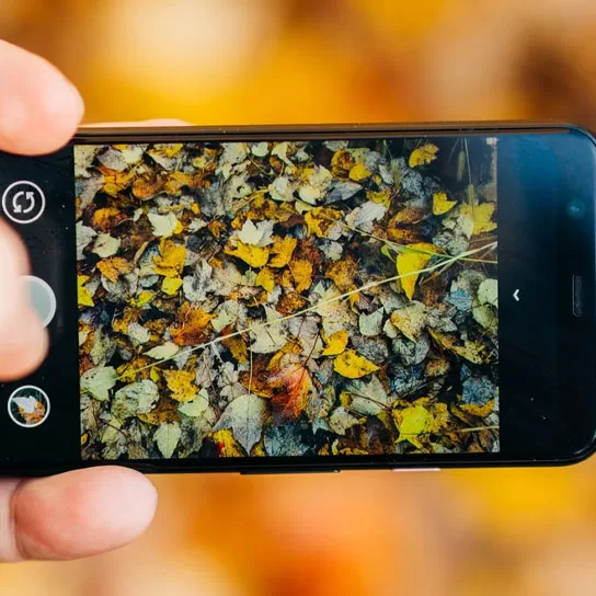 Physical Damage to Screen or Camera Affecting Video Call Quality on Google Pixel 1 google pixel camera 1 jpg