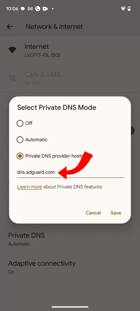 Enter the DNS server.