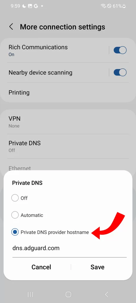 Select Private DNS provider hostname.