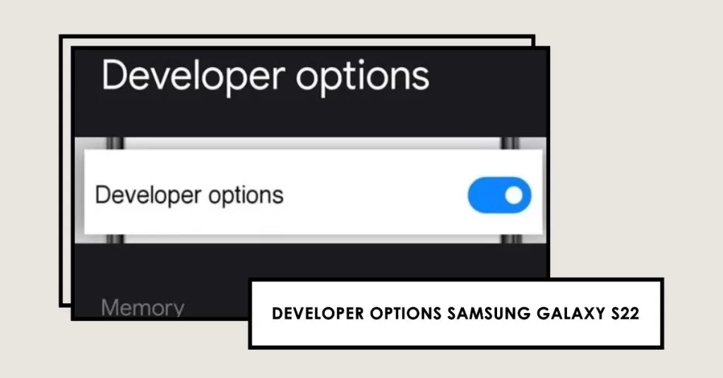 Galaxy S22 Developer Options menu enabled