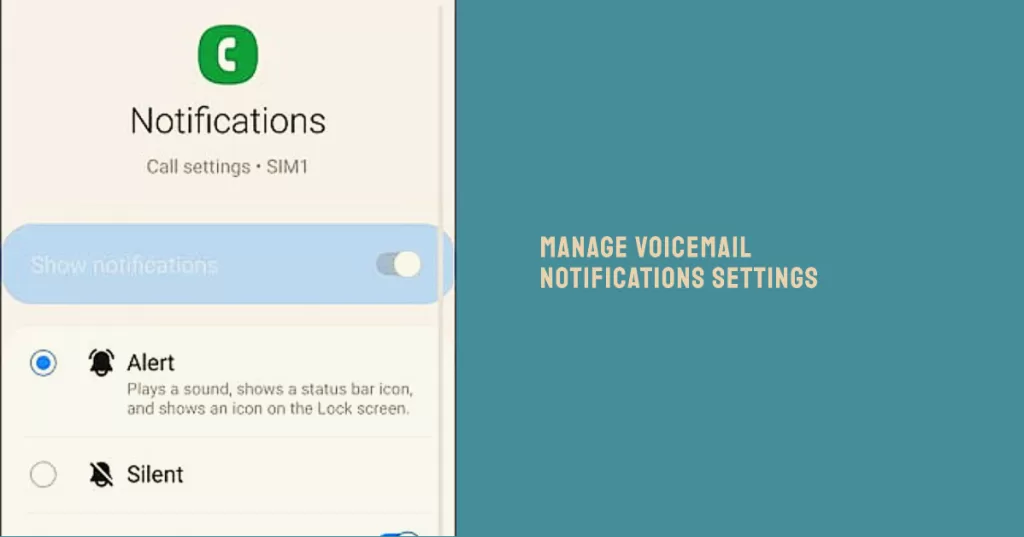 customize voicemail notifications settings samsung