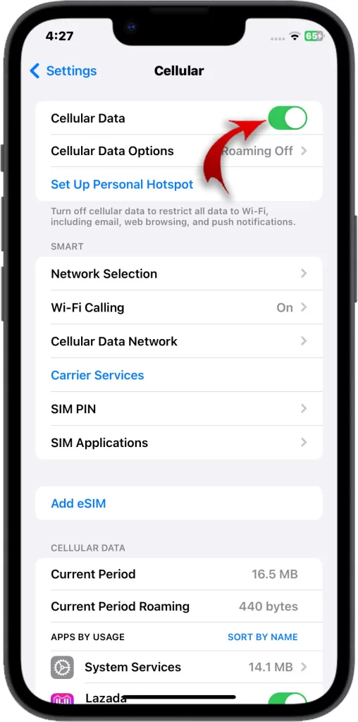 enable cellular data iphone