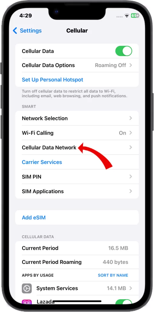 cellular data network iphone