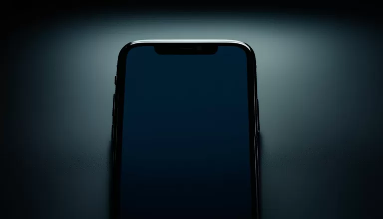 my iphone 11 screen went black but the phone still works